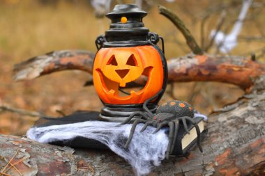 Cadılar Bayramı balkabağı ve kocaman bir örümcek. Cadılar Bayramı dışarıda ve eğlenin. Çocuklar şaka mı şeker mi? Karanlık Orman 'da ürkütücü balkabağı kafalı Jack Lantern. Copyspace ile Cadılar Bayramı tasarımı.