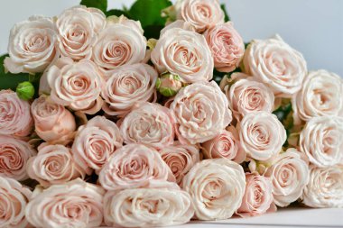 Çiçek kompozisyonu. Çiçek kartı modeli. Anneler Günü, Sevgililer Günü, 14 Şubat, doğum günü. Uzayı kopyala Tebrik şablonu. Düğün davetiyesi. Düz katmanlı odak