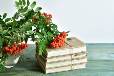 Öğretmenler günün kutlu olsun. Kitap, rowan, elma ve tıbbi koruyucu maske, fotokopi alanı, natürmort. COVID-19 Coronavirus. Uzaklık Çevrimiçi Öğrenme Konsepti. Odaklanma