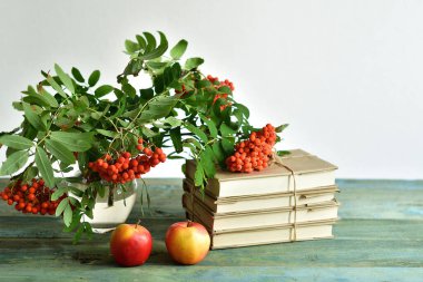 Öğretmenler günün kutlu olsun. Kitap, rowan, elma ve tıbbi koruyucu maske, fotokopi alanı, natürmort. COVID-19 Coronavirus. Uzaklık Çevrimiçi Öğrenme Konsepti. Odaklanma