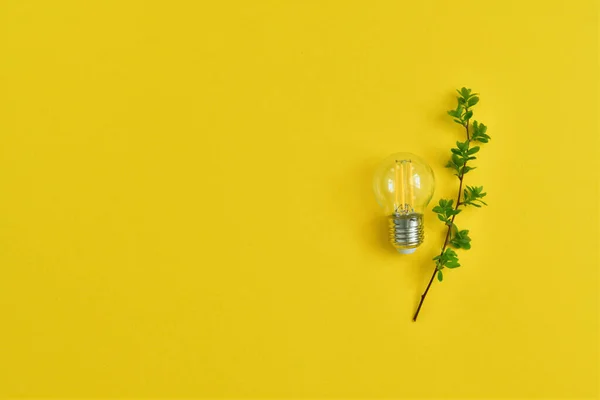 Tecnologias Verdes Lâmpada Eco Conceito Eficiência Energética — Fotografia de Stock