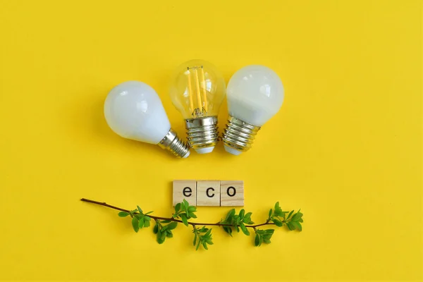 green technologies. Eco lamp. Energy efficiency concept.