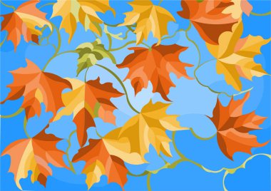 Mavi gökyüzüne karşı sonbahar akçaağaç yaprakları kompozisyon