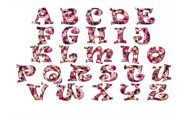 Font English Alphabet Print Roses — Stock Photo, Image