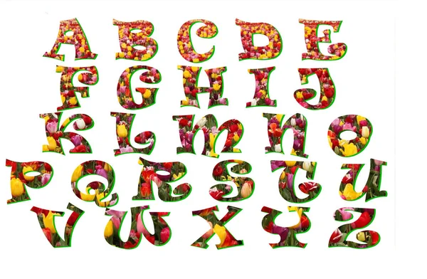 Καλλιτεχνική Γραμματοσειρά Είναι Γεμάτη Εικόνες Από Τουλίπες — Φωτογραφία Αρχείου