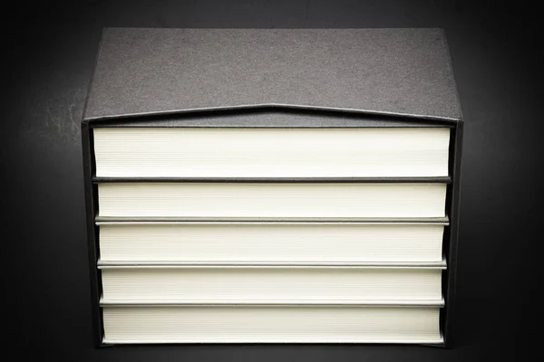 Conjunto Cinco Libros Monocromáticos Encuadernados Tela Almacenados Dentro Una Funda — Foto de Stock