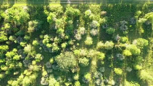 Vue Aérienne Une Banlieue Américaine Typique Montrant Mélange Espaces Résidentiels — Video