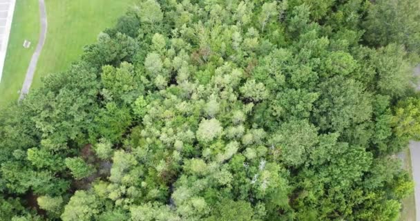 Park Çim Ağaçlar Çalılar Diğer Tarlalar Için Boşluklar Swathes Ile — Stok video