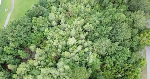 Una Vista Aérea Área Suburbana Típica Americana Que Muestra Una — Vídeo de stock