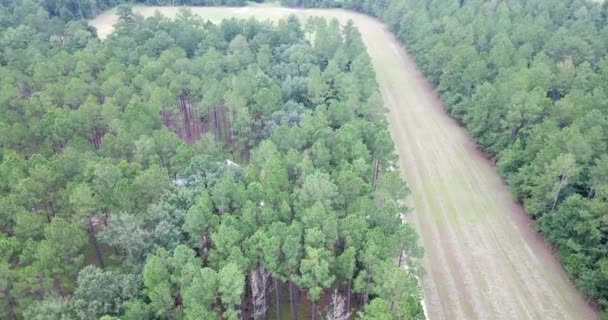 駐車場 その他のプランテーションのためのスペースの広がりを持つ道路や田舎道への車道で接続された住宅 自然空間のミックスを示す典型的なアメリカの郊外地域の航空写真 — ストック動画