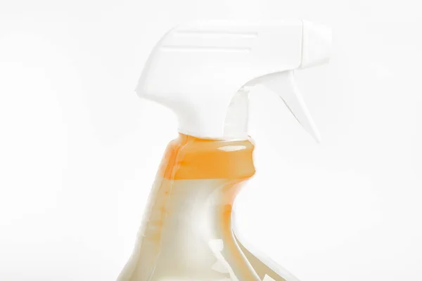 Een Close Van Het Bovenste Gedeelte Van Een Oranje Witte — Stockfoto