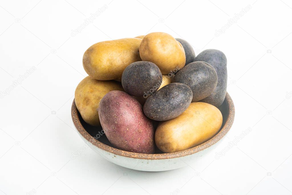 An assorted color raw and fresh potatoes artfully arranged on a bowl and set on white background.