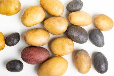 An assorted color raw and fresh potatoes artfully arranged and set on flat white surface table background. clipart