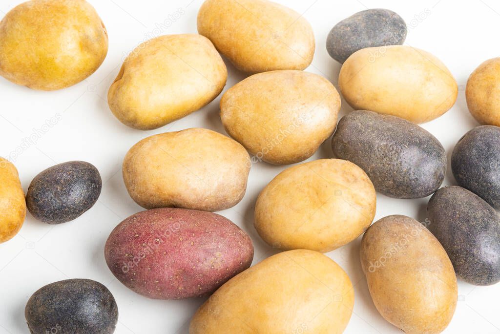 An assorted color raw and fresh potatoes artfully arranged and set on flat white surface table background.