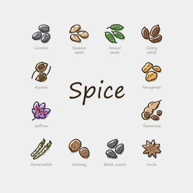 Açık arkaplanda izole edilmiş renkli baharat simgeleri. Saffron, Black kimyon, yabanturpu, meyan kökü ve daha fazlası vardır..