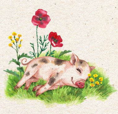 Hand drawn cute miniature pig resting on green grass near wildflowers. Vintage card with watercolor flowers and funny animal. clipart