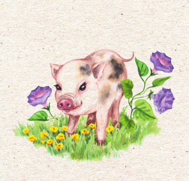 Hand drawn cute miniature pig walking on green grass near wildflowers. Vintage card with watercolor yellow, lilac flowers and funny animal. clipart