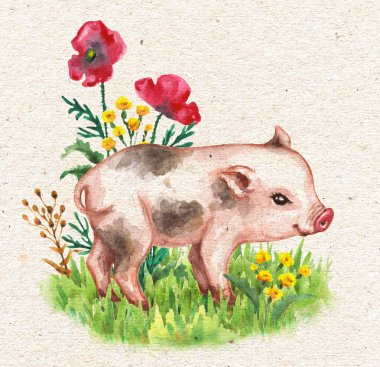Hand drawn cute miniature pig walking on green grass near red poppies. Vintage card with watercolor flowers and funny animal. clipart