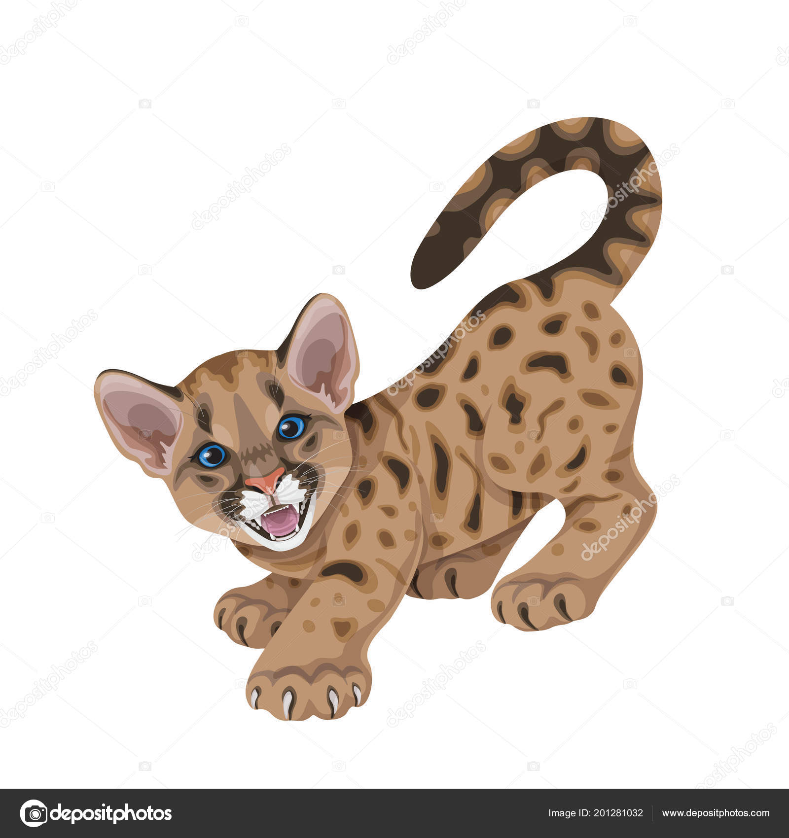 Puma cub Vector Art Stock Images | Depositphotos Puma cub Vector Art Stock Images | Depositphotos