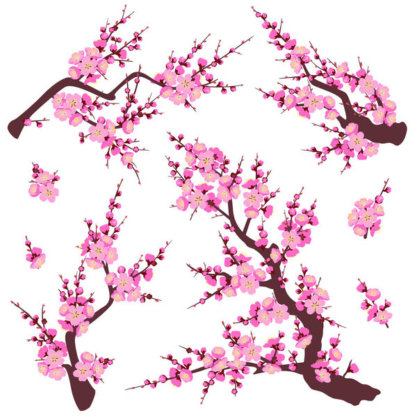 Set of flowering tree branches and shoots with pink flowers isolated on white background.  Plum blossom is a symbol for spring.  Floral decoration for Chinese New Year. Vector flat illustration.