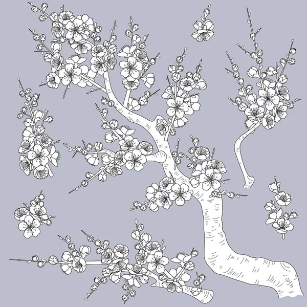 Ensemble Branches Pousses Monochromes Arbres Fleurs Noires Blanches Isolées Sur — Image vectorielle