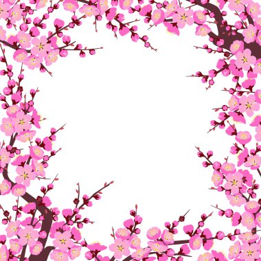 Kare çerçeve çiçekli ağaç dalları ve beyaz arka plan üzerinde pembe çiçekli sürgünler ile yaptı. Erik çiçeği bahar için bir semboldür. Çiçek dekorasyon için Çin yeni yılı. Vektör düz çizim.