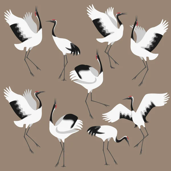 色付きの背景に分離された日本のコウノトリをダンスの簡略化されたイメージ 丹頂鶴のダンスで移動します フラットの図をグループ化します — ストックベクタ