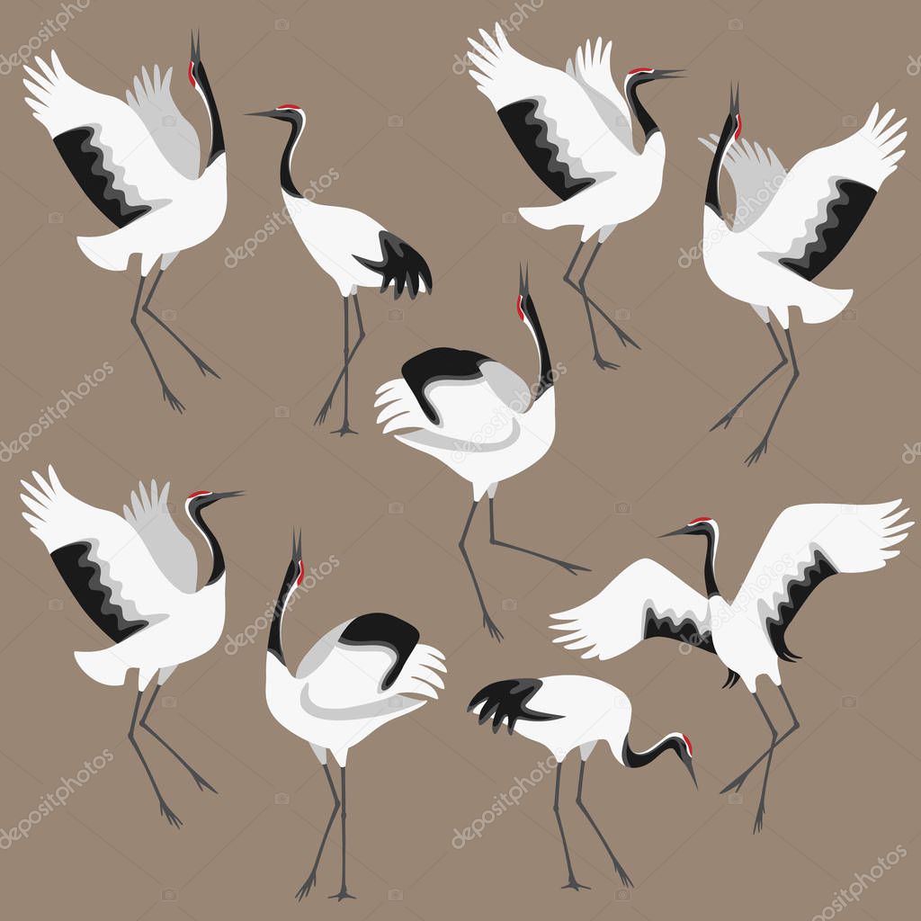 Simplified image of dancing japanese storks isolated on colored background. Red-crowned cranes moving in dance. Birds group flat illustration.