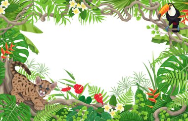 Yaz tropik bitkiler ve hayvanlar arka plan. Komik kızgın puma yavrularını ve toucan liana dallar ile yatay çerçeve çiçek. Metin için yer. Yağmur ormanları yeşillik sınır vektör düz çizim.
