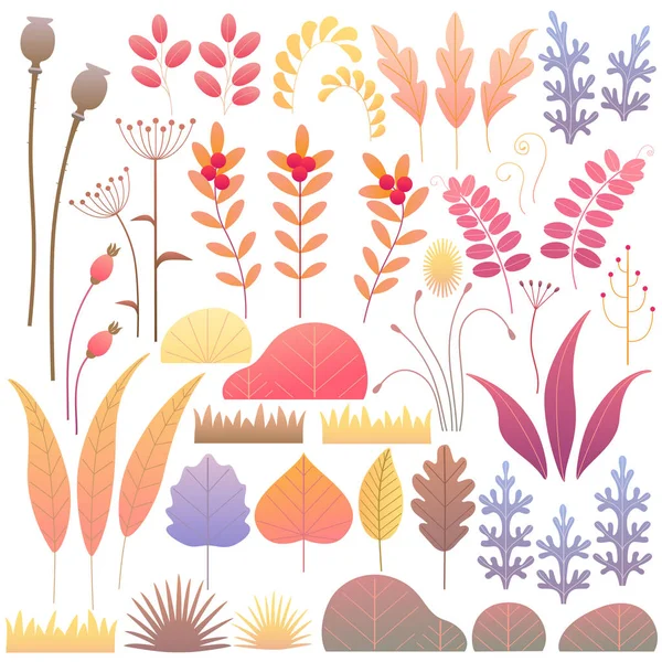 Colorful Leaves Dried Grass Berries Bushes Set Simple Autumn Floral — Stock Vector