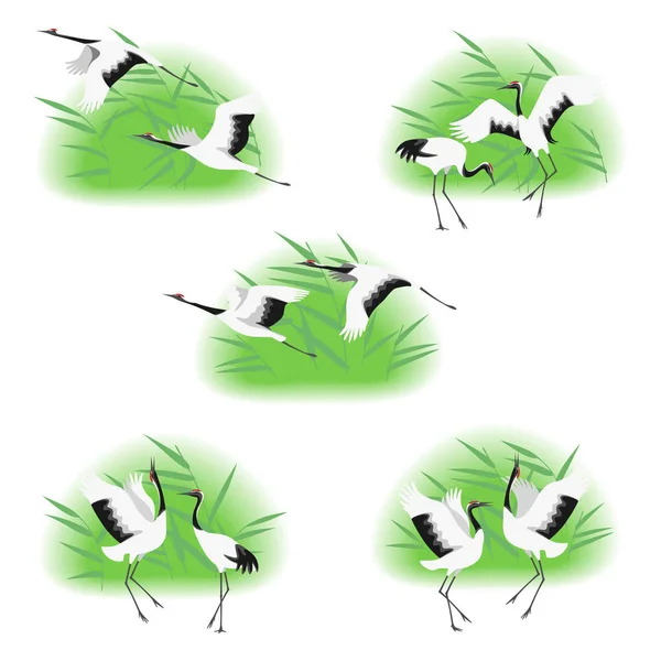 Image Simple Grues Japonaises Dansantes Volantes Dans Des Fourrés Roseaux — Image vectorielle