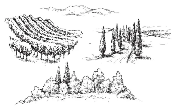 Ręcznie Rysowane Scena Fragmenty Winnicy Wzgórza Drogi Drzew Monochromatyczne Krajobraz — Wektor stockowy