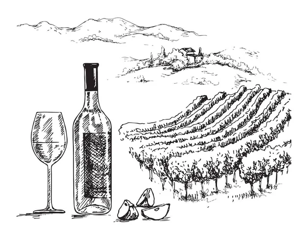 手拉瓶和葡萄酒在农村的场景背景与葡萄园 单色田园风光插画 矢量草图 — 图库矢量图片