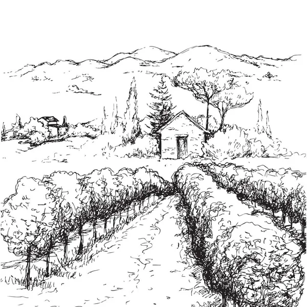 Scena Rurale Disegnata Mano Con Case Vigneti Colline Alberi Illustrazione — Vettoriale Stock