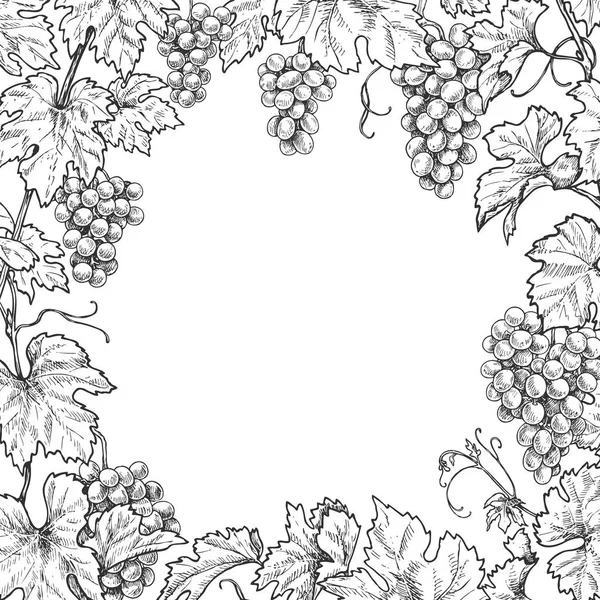 사각형 프레임 가지와 열매와 손으로 그린된 떠난다 흑인과 테두리 텍스트 — 스톡 벡터