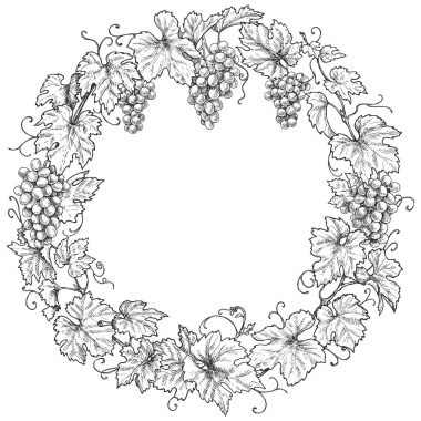 Tek renkli yuvarlak çerçeve Üzüm dalları ve çilek ile yapılır. Elle çizilmiş üzüm demet ve bırakır. Siyah ve beyaz kenarlıklı metin için yer. Vektör çizimi.