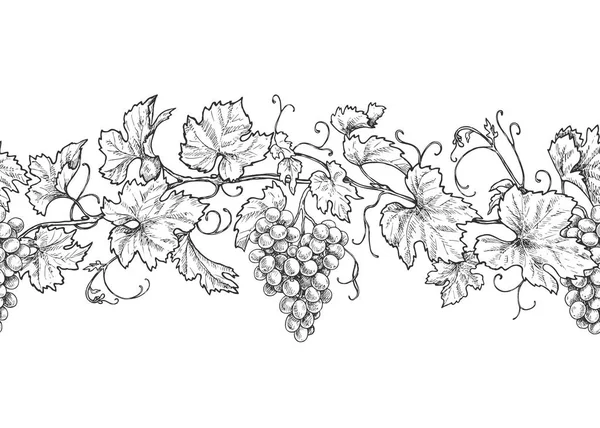 Горизонтальный Бесшовный Узор Монохромных Виноградных Ветвей Листьями Ягодами Ручная Черно — стоковый вектор