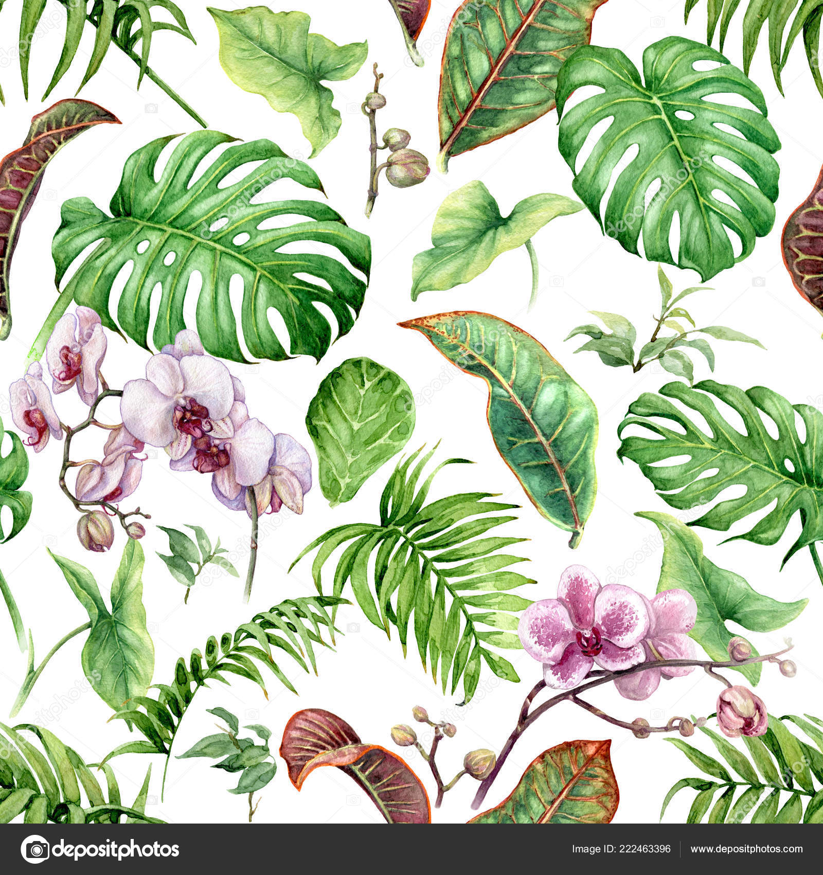 Rainforest Flowers Drawing