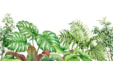 Hand drawn tropical plants. Seamless line horizontal border made with watercolor exotic green rainforest foliage on white background.  clipart