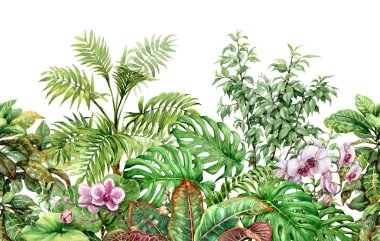 Elle çizilmiş çiçekler ve tropik bitkilerin yaprakları. Kesintisiz çizgi yatay deseni suluboya egzotik yeşil yağmur ormanlarının yaprakları ve beyaz arka plan üzerinde pembe orkide ile yaptı. Sonsuz çiçek sınır.