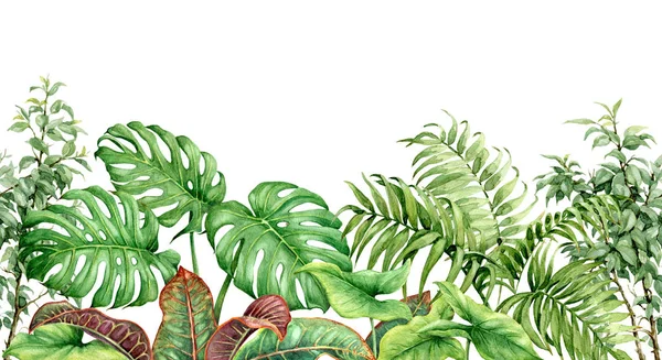 手绘热带植物 无缝线水平边界由水彩画与异国情调的绿色雨林叶子在白色背景 — 图库照片