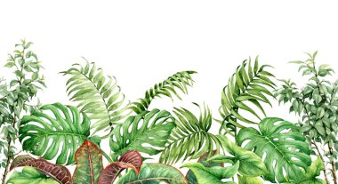 Hand drawn tropical plants. Seamless line horizontal border made with watercolor exotic green rainforest leaves on white background.  clipart