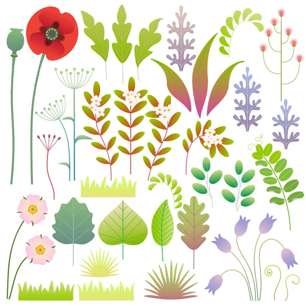 Flat Spring Floral Elements Set — Stock Vector