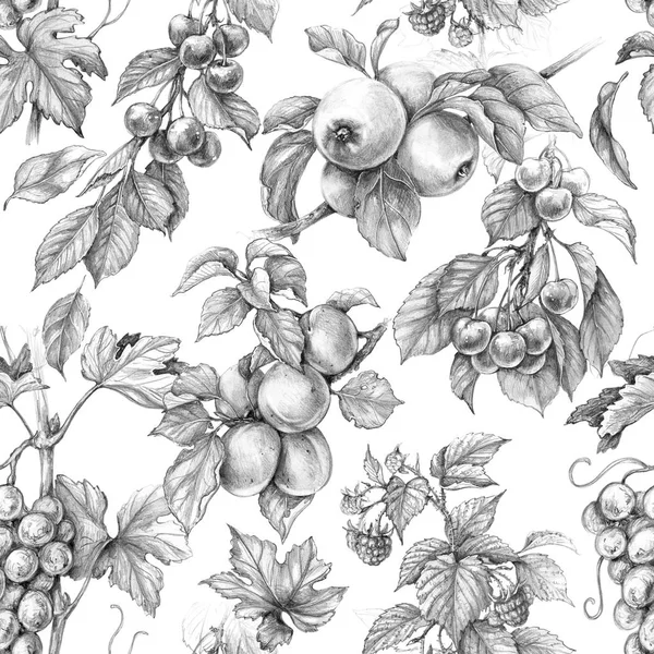 手绘的果子和浆果分支查出在白色背景 单色无缝图案由苹果 覆盆子和杏子的素描 铅笔画 — 图库照片