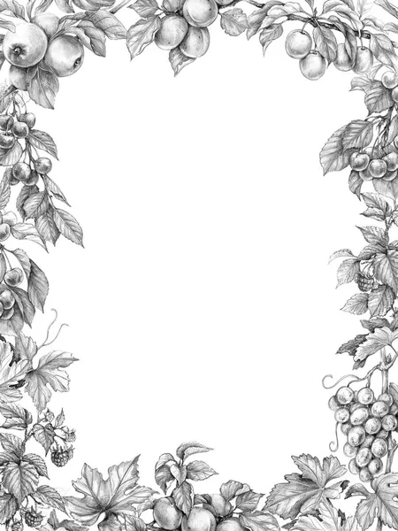 Hand Drawn Branches Fruit Trees Bushes Monochrome Border Made Sketch — Stock Photo, Image