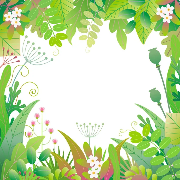 Quadro Quadrado Feito Com Folhas Verdes Grama Flores Fundo Branco — Vetor de Stock