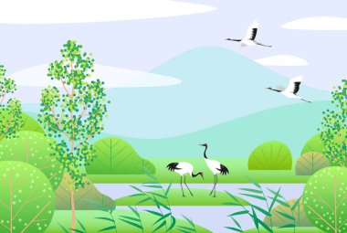 Nature background with wetland scene and Japanese cranes. Spring landscape with mountains, green trees, reed and birds.  Vector flat illustration.  clipart