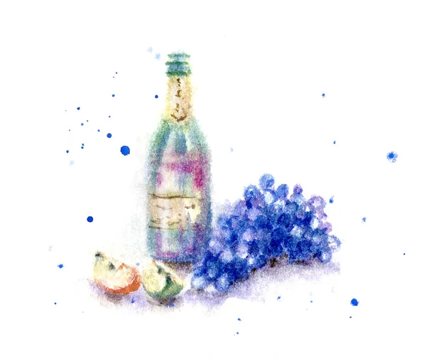 Hand drawn bottle of red wine and blue grape bunch. Watercolor sketch in wet technique.