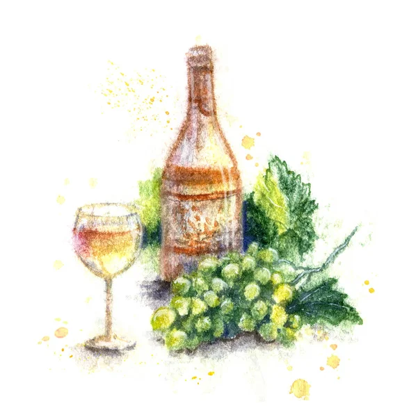 Hand drawn bottle of white wine, glass  and yellow grape bunch. Watercolor sketch in wet technique.