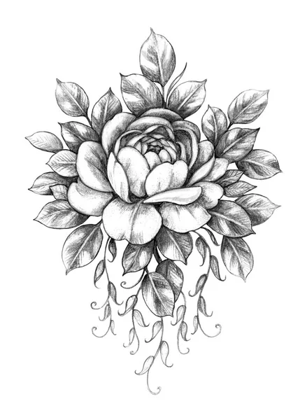 Hand drawn floral composition with Rose flower and leaves isolated on white background. Monochrome pencil drawing sketch Romantic tattoo design, floral decoration and illustration in vintage style.
